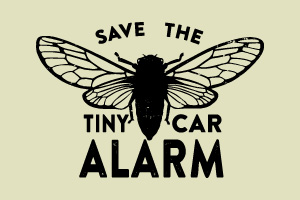 Save the Tiny Car Alarm